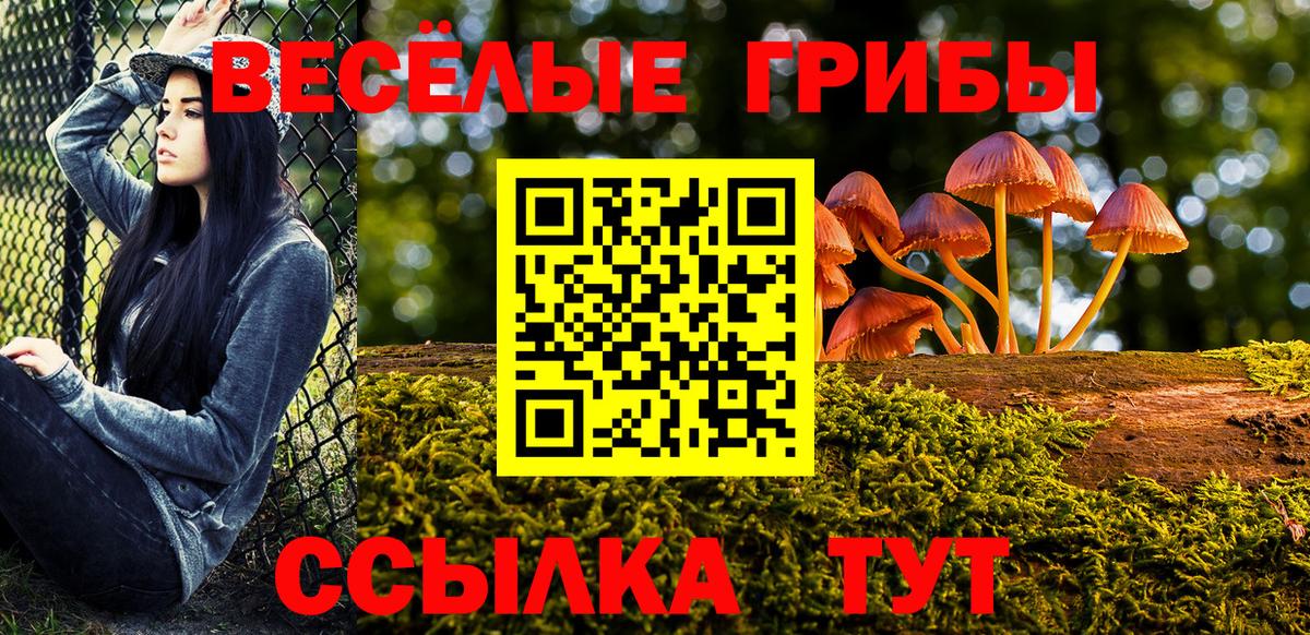 Галлюциногенные грибы Cubensis  Галлюциногенные грибы MAGIC MUSHROOMS  Полысаево  Вход с VPN 